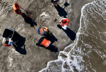 Refuerza ciudad de Veracruz limpieza en playas previo a Semana Santa