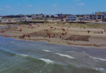 Gobierno de México refuerza acciones integrales ante presencia de hidrocarburos en costas del Golfo de México