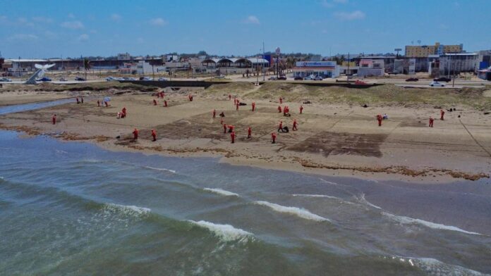 WhatsApp Image 2026-03-25 at 16.45.26 (1)