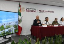 Un buque y dos chapopoteras naturales, la causa de la emanación de hidrocarburos en Veracruz y Tabasco: GI