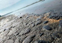 ‘Chapopotera natural’, no plataforma petrolera, la que dañó las costas de Veracruz, aclara Nahle