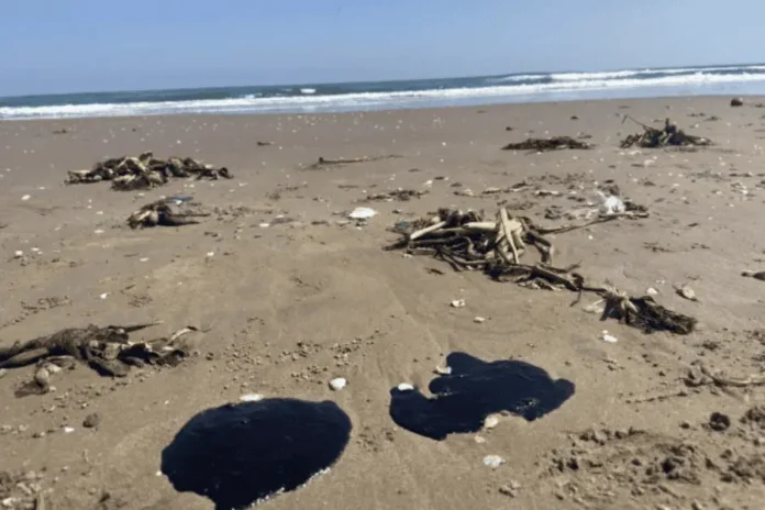 crop-w656-h437-h3-foto-2-70acf9d8-focus-0-0-1200-850