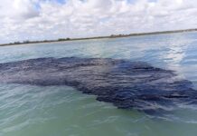 A unos días de Semana Santa, en Tatahuicapan y Pajapan acusan que sus playas siguen con chapapote