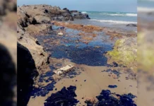 A diez días del derrame de hidrocarburos aún no hay postura oficial; indigna ecocidio a ONG’s