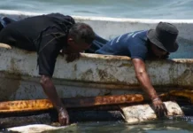 Acusan grupos ambientalistas a la 4T de falsear derrame de crudo en el Golfo