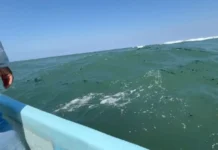 Comunidades indígenas denuncian trabas para reportar contaminación por hidrocarburos en Veracruz