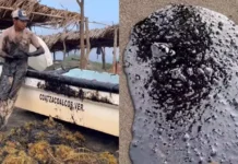 Califican de ‘etnocidio’ el derrame de combustible en costas del sur de Veracruz