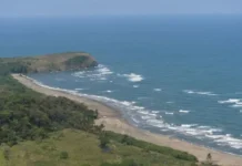 Afirma Pemex que hay control total del crudo derramado en litoral del Golfo de México