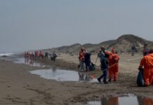 Disminuye presencia de hidrocarburo en playas de Alvarado: PC
