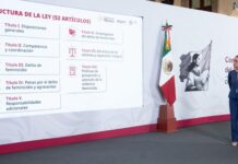 Presidenta enviará al Senado iniciativa de Ley General para prevenir, investigar, sancionar y reparar el daño por el delito de feminicidio