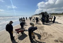 Ordena juez contener y remediar afectaciones por derrame de crudo en costas de Veracruz y Tabasco