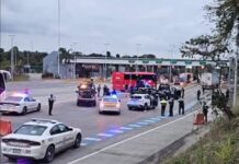Policias estatales se confunden y matan a doctora en la autopista México–Tuxpan
