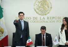 Ratifican en comisiones del Senado a Roberto Velasco como nuevo canciller de México