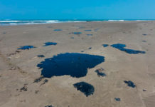 Llevará meses y será costoso detectar efectos de tóxicos tras derrame en el Golfo, dicen expertos