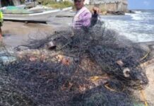 Chapopote paraliza la pesca en Alvarado; familias enfrentan crisis en plena Semana Santa