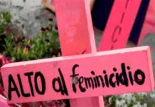 Bajan en cuatro años los feminicidios en el país; Veracruz sigue en la lista con más casos