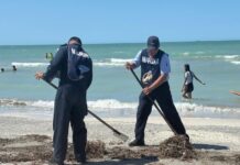 Afirma gobierno federal que 25 playas de Veracruz afectadas por derrame ya están libres de arribazón