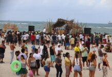 Tradición, cultura y diversión impulsan gran afluencia turística en ciudad de Veracruz