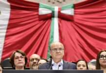 Impulsan en Cámara de Diputados reforma para proteger lactancia y empleo de mujeres