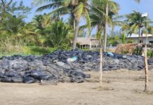 Acusan pobladores de Alvarado y Pajapan a PC estatal de ‘olvidar’ bolsas con residuos de ‘chapo’