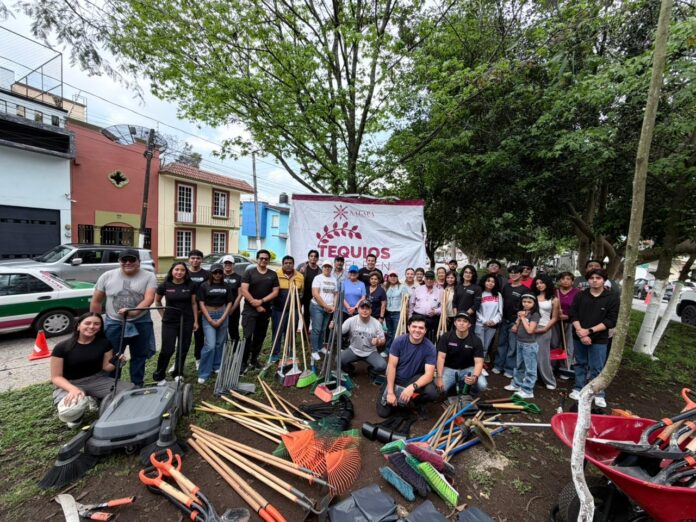 WhatsApp Image 2026-04-11 at 14.48.52