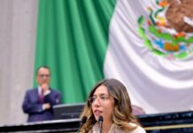 Proponen hasta 15 años de cárcel por abigeato en Veracruz; buscan tipificarlo como delito grave