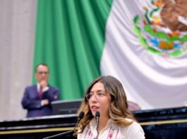 Proponen hasta 15 años de cárcel por abigeato en Veracruz; buscan tipificarlo como delito grave