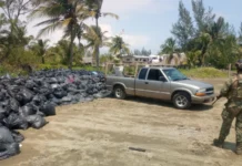 Semar descarta hidrocarburos en playas de Pajapan; eran bolsas con sargazo