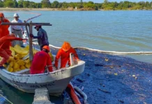 Ambientalistas ven insuficientes ceses en Pemex por derrame de crudo; exigen reparación integral