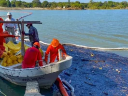 Ambientalistas ven insuficientes ceses en Pemex por derrame de crudo; exigen reparación integral