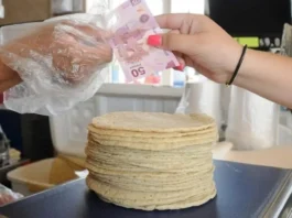 Prevén aumento de hasta 4 pesos en el precio de la tortilla a partir del 15 de abril
