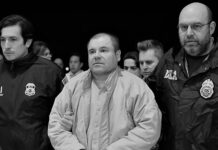 Responsabiliza El Chapo Guzmán al gobierno de crímenes; “no hice daño a nadie”, afirma