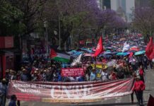 CNTE alista megamarcha en la Ciudad de México; prevén participación de 50 mil maestros