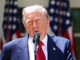 “Tenemos un problema porque los cárteles gobiernan México, nadie más”, reitera Trump