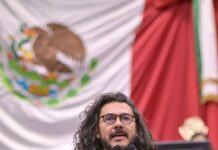 Protección animal, prioridad constitucional en Veracruz: Legisladores del PVEM