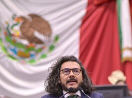 Protección animal, prioridad constitucional en Veracruz: Legisladores del PVEM