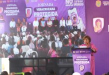 Estado de Veracruz, referente nacional en protección inmediata para las mujeres: Rosa María Hernández Espej