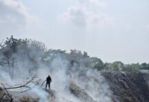 Se reactivan puntos humeantes en zona norte; atienden Bomberos de Veracruz