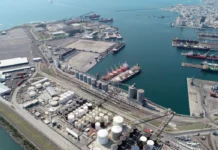 Desacata Semarnat fallo de la Suprema Corte para la ampliación del puerto de Veracruz: ambientalistas