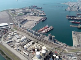 Desacata Semarnat fallo de la Suprema Corte para la ampliación del puerto de Veracruz: ambientalistas