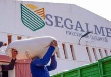 Sancionan a René Gavira y otros exfuncionarios de Segalmex con 261 mdp