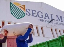 Sancionan a René Gavira y otros exfuncionarios de Segalmex con 261 mdp