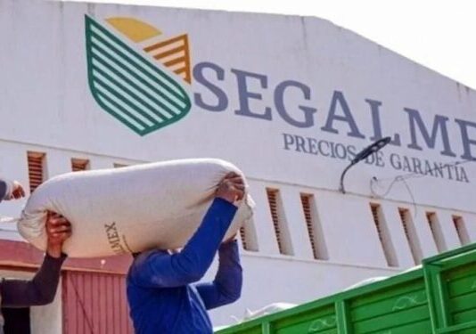 Sancionan a René Gavira y otros exfuncionarios de Segalmex con 261 mdp