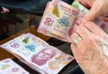 Reporta SHCP caídas de 4.8 y 13% en ingresos tributarios e ISR en primer cuatrimestre del año