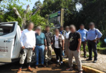 Liberan 30 monos aulladores en la Reserva de la Biosfera de los Tuxtlas, Veracruz