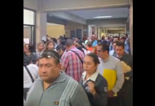 Caos en la UPAV: docentes denuncian año sin pagos y trato indigno en proceso de contratación