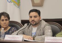 Cabildo de Xalapa aprueba descuentos en espacios culturales para artistas locales: Moreno Martínez
