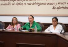 Bienestar Animal, prioridad del Ayuntamiento; se armoniza reglamento para aplicar sanciones