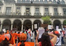 Activistas denuncian abandono en políticas de protección animal en Xalapa