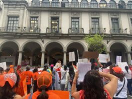 Activistas denuncian abandono en políticas de protección animal en Xalapa